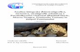 Analiza integrata (biostratigrafica, tectonica ...gg.unibuc.ro/wp-content/uploads/2018/05/FLOROIU-Alina.pdf · Analiza integrata (biostratigrafica, tectonica, stratigrafie seismica)