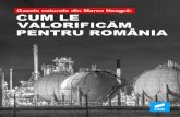 Gazele naturale din Marea Neagră CUM LE VALORIFICĂM … · Cum valorificăm gazele naturale pentru România Accesul la energie și consumul de resurse energetice radiografiază