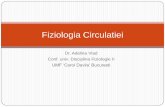 Fiziologia Circulatieifiziologie.ro/didactic/2013-2014/cursuri/HemodinamicaRo2.pdf · Caracteristici Fizice ale Sistemului Vascular Velocitatea liniara medie a fluxului de sange este