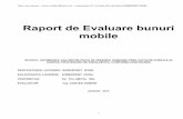 Raport de Evaluare bunuri mobile - Eurexpert IPURL · Raport de evaluare – bunuri mobile Mijloace Fixe – proprietatea SC Tol Metal SRL, Beneficiar EUREXPERT IPURL 4 Opinia evaluatoruluI