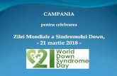 Zilei Mondiale a Sindromului Down, - 21 martie 2018 · Sindromul Down constituie o formă uşor de diagnosticat, deoarece particularităţile morfologice specifice ale indivizilor