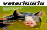 „Medicul uman salvează omul, medicul veterinar salvează ... · 34 Afecțiunile cristalinului la câine. Cataracta (I) 38 Pesta porcină africană ... 4. Reproducția și patologia