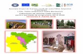 Asociația Grupul de Acțiune Locală din zona Văilor ...galvam.ro/wp-content/uploads/2018/03/SDL-GAL-VAVM-v.4.pdf · Asociația Grupul de Acțiune Locală din zona Văilor Ampoiului