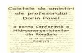 Caietele de amintiri ale profesorului Dorin Pavelmmut.mec.upt.ro/mh/Conferinta_Buc/Lucrari/memoriiDP.pdf · hidroenergetice, Manualul inginerului hidrotehnician (secţiunea XI), Maşini