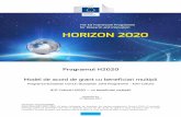 Programul H2020 Model de acord de grant cu beneficiari ...ec.europa.eu/research/participants/data/ref/h2020/mga/pcp_ppi/h2020... · Anexa 7 Planul de lucru anual pentru anul următor