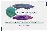 județul Bacău - Primăria Comunei Sascut Sascut 01.09.2017.pdf · dezvoltă localitatea îi afectează prezentul şi șansele de viitor. O comunitate durabilă apreciază şi promovează