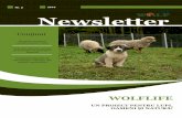 Campanii gratuite de sterilizare a câinilor din - wolflife.eu · majoră, de meso-mamifere. Ungulatele domestice nu reprezintă o sursă importantă de hrană, dar surprinzător
