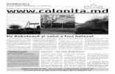De Bobotează şi satul a fost botezat - colonita.eucolonita.eu/wp-content/uploads/ziar/Colonita_11.pdf · 19 decembrie 2011 s-a decis să se facă unele modificări în partea de