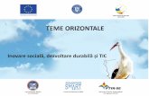 TEME ORIZONTALE - diasporainvest.rodiasporainvest.ro/wp-content/uploads/2018/09/8-Teme-orizontale.pdf · unei afaceri proprii, care poate fi dezvoltată de acasă, chiar și în timpul