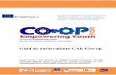 Ghid de autoevaluare CAE Coo - cdn-cms.f-static.comcdn-cms.f-static.com/uploads/290231/normal_595228438e56d.pdf · auto-evaluarea atât a serviciilor din cadrul cooperativei de afaceri
