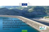 Ghid privind Cerințele pentru producția de energie ...ec.europa.eu/environment/nature/info/pubs/docs/brochures/HYD_Summary... · energie regenerabilă și reducerea emisiilor de