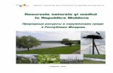 BIROUL NAŢIONAL DE STATISTICĂ AL REPUBLICII MOLDOVAstatistica.gov.md/public/files/.../Mediu/Resurse_naturale_2010.pdf · naturale în Republica Moldova. Această publicaţie este