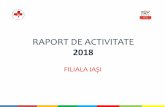 RAPORT DE ACTIVITATE 2017 - oammr-iasi.ro · Prezentare Plan de îngrijiri EVENIMENTE Presedinta Filialei Iasi, Liliana Pintilie, a fost invitata sa prezinte Planul de ingrijiri elaborat