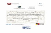 Conferința internaţională Regionalism şi regionalizare în ... · 3 JOI, 30 MAI 2013, ORA 9:00. DESCHIDEREA LUCRĂRILOR CONFERINŢEI (Universitatea „Alexandru Ioan Cuza” din