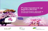 Polenizatorii şi agricultura - Bayer CropScience si agricultura.pdf · bună parte din flora din mediul nostru natural, grădini şi parcuri. De mii de ani, prin domesticirea De