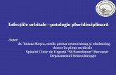 Infecţiile orbitale –patologie pluridi sciplinară - RONOSronos.ro/doc/2011-lucrari/Infectii orbitale patologie pluridisciplinara.pdf · specialităţi medicale şi chirurgicale.