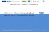 Ghidul Solicitantului - galcetateatamasidava.ro. Ghidul Solicitantului M3_2B CT V02.pdf · Proiect finantat cu fonduri europene nerambursabile prin Programul National de Dezvoltare