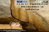 MINISTERUL MEDIULUI - salvatipesterile.rosalvatipesterile.ro/wp-content/uploads/2018/10/BROSURA-Cum-sa-protejam... · Starea de conservare a habitatului 8310 din situl Natura 2000