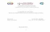 LUCRARE DE DIPLOMĂ - ACSE Departmentacse.pub.ro/wp-content/uploads/2013/07/Licenta_Istrate_Alina-Maria_341B3.pdf · Pentru a reprezenta structura secvenței primare de ADN cu perechile