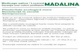 Medicago sativa / LucernăMADALINAsamantalucerna.ro/wp-content/uploads/2016/12/Pliant-Madalina.pdf · Lunca şi Delta Dunării, Câmpia Transilvaniei, Câmpia de Vest inclusiv Câmpia