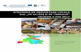 STRATEGIA DE DEZVOLTARE LOCALA GAL „PE MUREȘ ȘI PE … mai-2017.pdf · Grupul de Actiune Locala GAL Pe Mures si pe Tarnave ,asa cum arata si numele, cuprinde un teritoriu omogen
