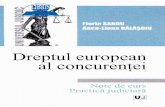 Dreptul european al concurentei - cdn4.libris.rocdn4.libris.ro/userdocspdf/758/Dreptul european al concurentei - Florin... · 1.2.1- concurenta ca necesitate obiectiad tntr-o economie