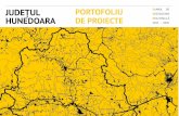 Viziune - Consiliul Judetean Hunedoara regionala/portofoliu_proiecte... · 2 Proiectele marcate cu * sunt în curs de desfăşurare, ... A12 Măsură Stabilirea unui protocol de promovare