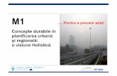 Concepte durabile în planificarea urbană şi regională o ...aaltopro2.aalto.fi/projects/up-res/materials/Romanian_modules/M1.pdfExerciţiu: Amprenta de carbon a cursanţilor Cuprins.