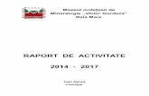 RAPORT DE ACTIVITATE 2014 - 2017 - muzeuminbm.ro · Analiza SWOT (analiza mediului intern şi extern, puncte tari, puncte slabe, oportunităţi, ameninţări) 16 A3. Evoluţia imaginii