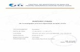 2013.09.06 RAPORT final Banesti - aeroclubulromaniei.roaeroclubulromaniei.ro/media/2013.09.06 Raport final Banesti.pdf · producerii evenimentului, pilotul deținea calificare de