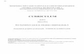 CURRICULUM - eprofu.ro · b) categorii specifice obiectului de studiu al contabilit