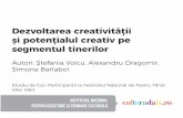 Dezvoltarea creativită ii și poten ialul creativ pe ... · evidențiază rolul pe care noile tehnologii îl au în modul și activitățile de petrecere a timpului liber și în