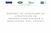 RAPORT DE EVALUARE AL STRATEGIEI DE - galtecuci.rogaltecuci.ro/wp-content/uploads/2019/05/Raport-de-evaluare-Asociatia...2 Raport de evaluare a Strategiei de Dezvoltare Locală 1.