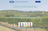 PNS 2019−2023 promovare a vinurilor − Ghidul solicitantului · ale producătorilor de vinuri cu DOC, IG sau vinuri pentru care se indică soiul viţei-de-vie, organizațiile de
