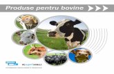 Produse pentru bovine - bioveta.ro · Bolile infecţioase ale aparatului digesv la viţeii nou-născuţi, de natură virală (rotavirus, coronavirus) sau de eologie bacterienă (E.