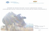 Construire fermă bovine de carne și împrejmuiregeographica-transilvania.ro/docs/RDN.pdf · 2.1 CONȚINUTUL ȘI OBIECTIVELE PRINCIPALE ALE PLANULUI ... Glacisul pe care urmează