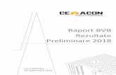 Raport BVB Rezultate Preliminare 2018 - cemacon.ro · postura de al doilea competitor pe piață, ca cel mai inovator producător de zidării din România; acestea au determinat ca