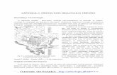CAPITOLUL II. ARHITECTURA NEOLITICULUI TIMPURIULarheologie.ulbsibiu.ro/publicatii/carti/arhitectura neolitica/04_capitolul 2.pdf · ARHITECTURA NEOLITICULUI TIMPURIU 59 civiliza]iilor