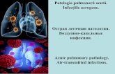 Patologia pulmonară acută Infecțiile aerogene Острая .... Patologia pulmonară... · Abces pulmonar (A), pleurită purulentă (B). Pleurită purulentă, empiem pleural. Traheo-bron