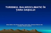 TURISMUL BALNEOCLIMATIC ÎN ȚARA OAȘULUI®n-Ţara-Oa... · VIII CIRCUIT TURISTIC CU MOMENTE GENERATOARE DE EMOŢII POZITIVE CONCLUZII BIBLIOGRAFIE . INTRODUCERE - s-a analizat Ţara