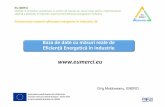EU-MERCI - Baza de date · Baza de date măsuri EE în industrie Obiectiv principal: organizarea și stocarea informațiilor disponibile din seturile de date Naționale și punerea