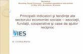 Principalii indicatori şi tendinţe ale sectorului ... · Principalii indicatori şi tendinţe ale sectorului economiei sociale – asociaţii, fundaţii, cooperative şi case de