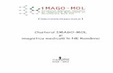 imagistica medicală în NE României - Imago-molimago-mol.ro/wp-content/uploads/2013/11/Brosura-IMAG-MOL.pdf · abordat: studiul și terapia durerii. In acest sens în perioada 2006-