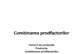 Factorii de producţie Producţia Combinarea prodfactoriloroctavianjula.ro/wp-content/uploads/2017/01/curs-06.pdf · Combinarea factorilor de producţie: Realizarea oricărui bun