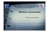 Structura retelei - file• Unitati functionale • Arhitectura • Functionare • Invatare Retele neuronale – Notiuni introductive COORDONATOR: Prof. Dr. Ing. Virgil TiponuŃ
