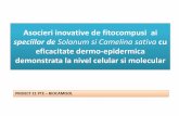 Asocieri inovative de fitocompusi ai - biotehnos.robiotehnos.ro/biocamisol/wp-content/uploads/2018/09/Workshop-Asocieri... · Complementaritatea efectelor descrise de literatura de