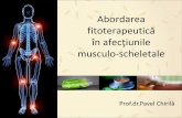Abordarea fitoterapeutică în afecţiunile musculo-scheletale®n-bolile... · Principii de utilizare a plantelor în bolile reumatismale -combinaţii de principii active antiinflamatoare