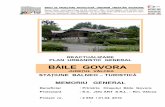 Completare memoriu Govora 2010 memoriu Govora 2010.pdf · României ( există proiect , aşteaptă finanţare ). *Montarea unei centrale termice şi a traseelor aferente acesteia