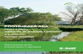 PROTEJEAZĂ APA - agro.basf.ro · maniera în care poluarea apei cu pesticide poate fi minimizată în agricultură. Protecţia apei în agricultură ne ajută pe toţi deopotrivă:
