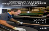 Demersuri necesare sănătatea la locul de muncă în ...cotance.com/doc/Demersuri necesare Industria Pielariei - Raport.pdf3 De ce partenerii sociali din industria europeană de pielărie